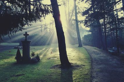 Friedhof in diffusem Licht - Copyright: Pixabay Joggie